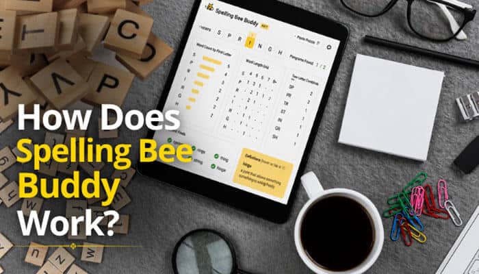 How Does Spelling Bee Buddy Work - Live Casino Magic - Live CasinoMagic Spelling Bee Buddy displayed on a tablet with an interactive spelling puzzle, word hints, and vocabulary tracking features, helping students, teachers, and word game enthusiasts solve daily spelling challenges, improve vocabulary, and strengthen language skills.