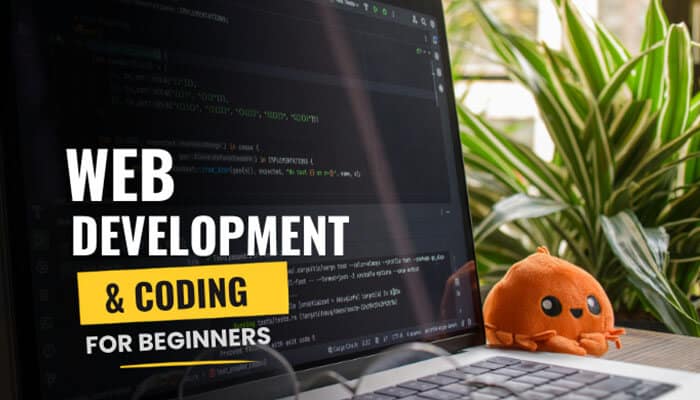 Web Development and Coding for Beginners - Live Casino Magic - Live CasinoMagic digitalConnectMag.com guide to web development and coding for beginners, featuring programming concepts, HTML, CSS, JavaScript fundamentals, software development skills, coding education resources, and career pathways in modern web technology.